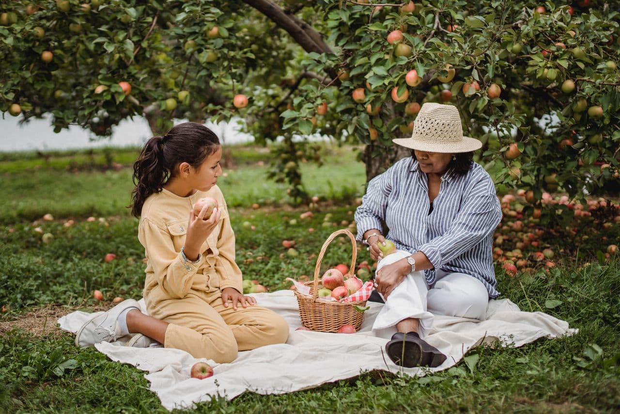 A basket of hand-picked apples in an orchard